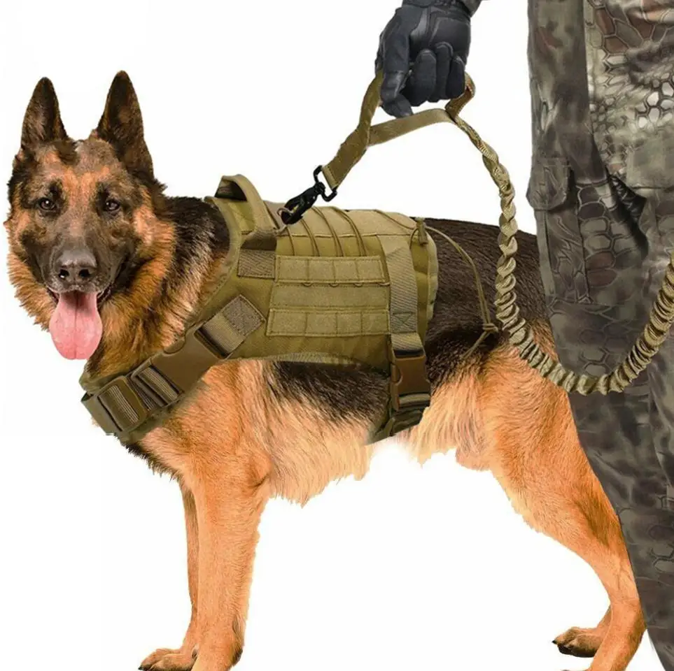 Tactical Dog Vest Breathable Military Dog Clothes 1000D Nylon Dog Vest Dog Clothes
Tactical Dog Vest Breathable Military Dog Clothes 1000D Nylon Dog Vest Dog Clothes