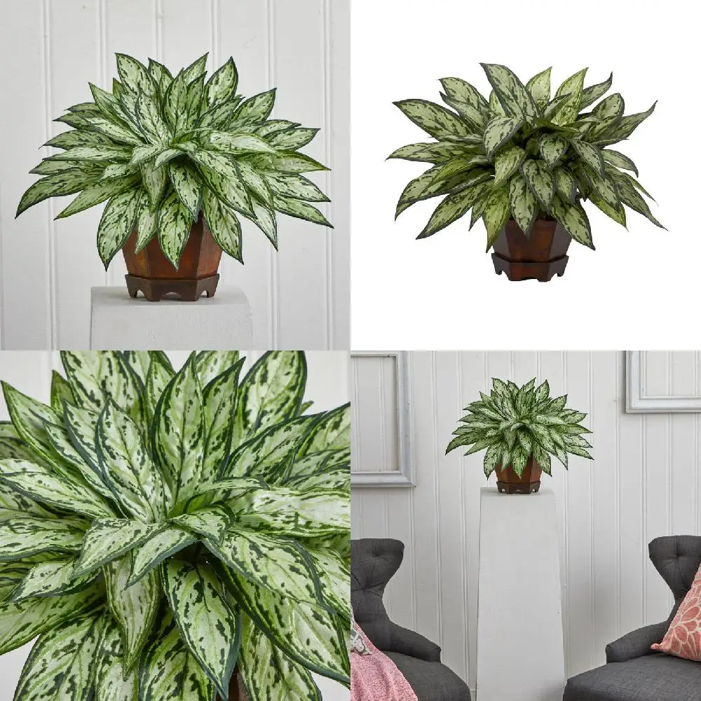 Beautiful Triple Silver Queen Polyester Artificial Plant with Hexagon Vase, Vibrant Green Color for Home Decorations and Indoor
Beautiful Triple Silver Queen Polyester Artificial Plant with Hexagon Vase, Vibrant Green Color for Home Decorations and Indoor