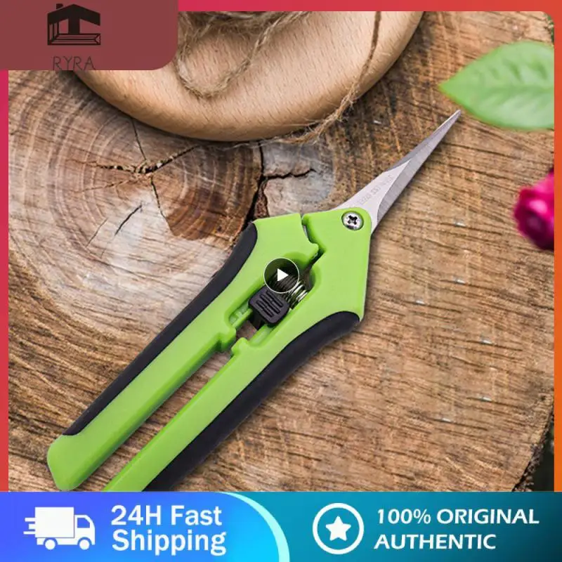 High-quality Stainless Steel Sharp And Sturdy Gardens Comfortable To Cut Stainless Steel Heat Treatment Process Fruit Picker
High-quality Stainless Steel Sharp And Sturdy Gardens Comfortable To Cut Stainless Steel Heat Treatment Process Fruit Picker