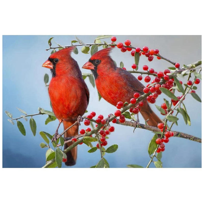 Алмазная живопись, полный набор алмазов, картина стразы, художественное ремесло, украшение для двери дома (Cardinal)
Алмазная живопись, полный набор алмазов, картина стразы, художественное ремесло, украшение для двери дома (Cardinal)