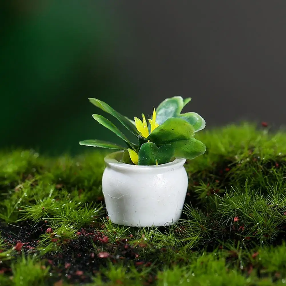 1 Set Durable Fairy Garden Mini Potted Plant Figurine Realistic Shape Mini Flower Miniature Clear Texture Home Decor
1 Set Durable Fairy Garden Mini Potted Plant Figurine Realistic Shape Mini Flower Miniature Clear Texture Home Decor