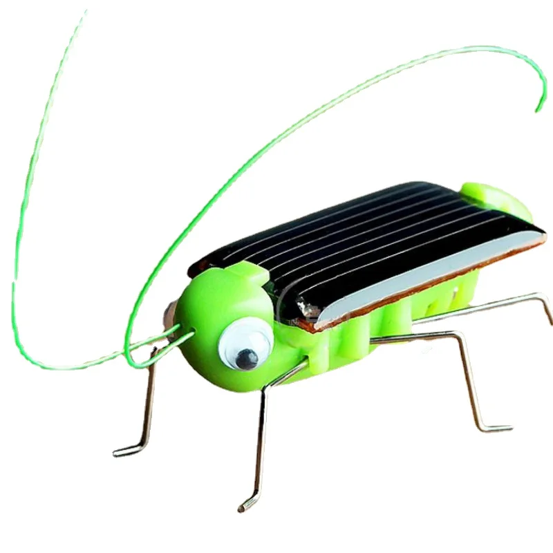 Solar grasshopper spider insect model home decoration accessories accessoires miniatures children's gift ornaments dropshipping
Solar grasshopper spider insect model home decoration accessories accessoires miniatures children's gift ornaments dropshipping