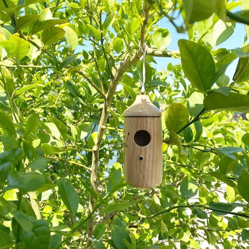 Bird House For Indoor And Outdoor Garden Decor Bird House Pet Cottage Wren Swallow Sparrow
Bird House For Indoor And Outdoor Garden Decor Bird House Pet Cottage Wren Swallow Sparrow
