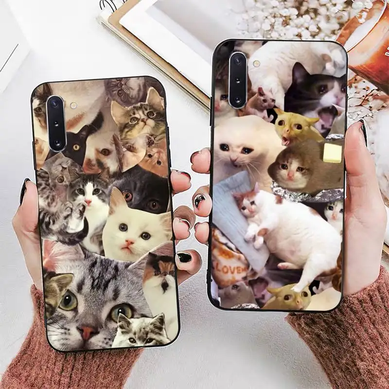 Crying Cat Memes Phone Case for Samsung A51 A30s A52 A71 A12 for Huawei Honor 10i for OPPO vivo Y11 cover
Crying Cat Memes Phone Case for Samsung A51 A30s A52 A71 A12 for Huawei Honor 10i for OPPO vivo Y11 cover