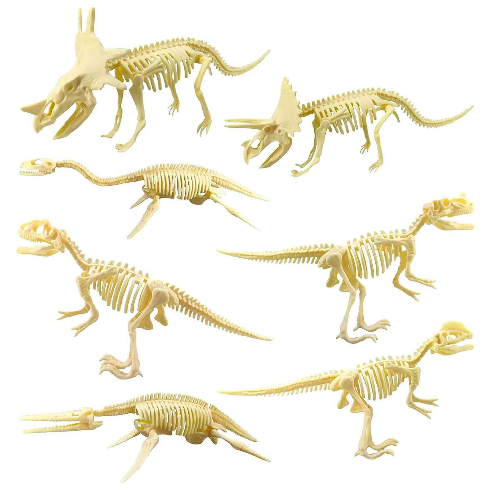 7 Pieces Dinosaur Skeleton, Dino Bones Figures Carfts Collection Educational Gift Party Favor Children Gift
7 Pieces Dinosaur Skeleton, Dino Bones Figures Carfts Collection Educational Gift Party Favor Children Gift