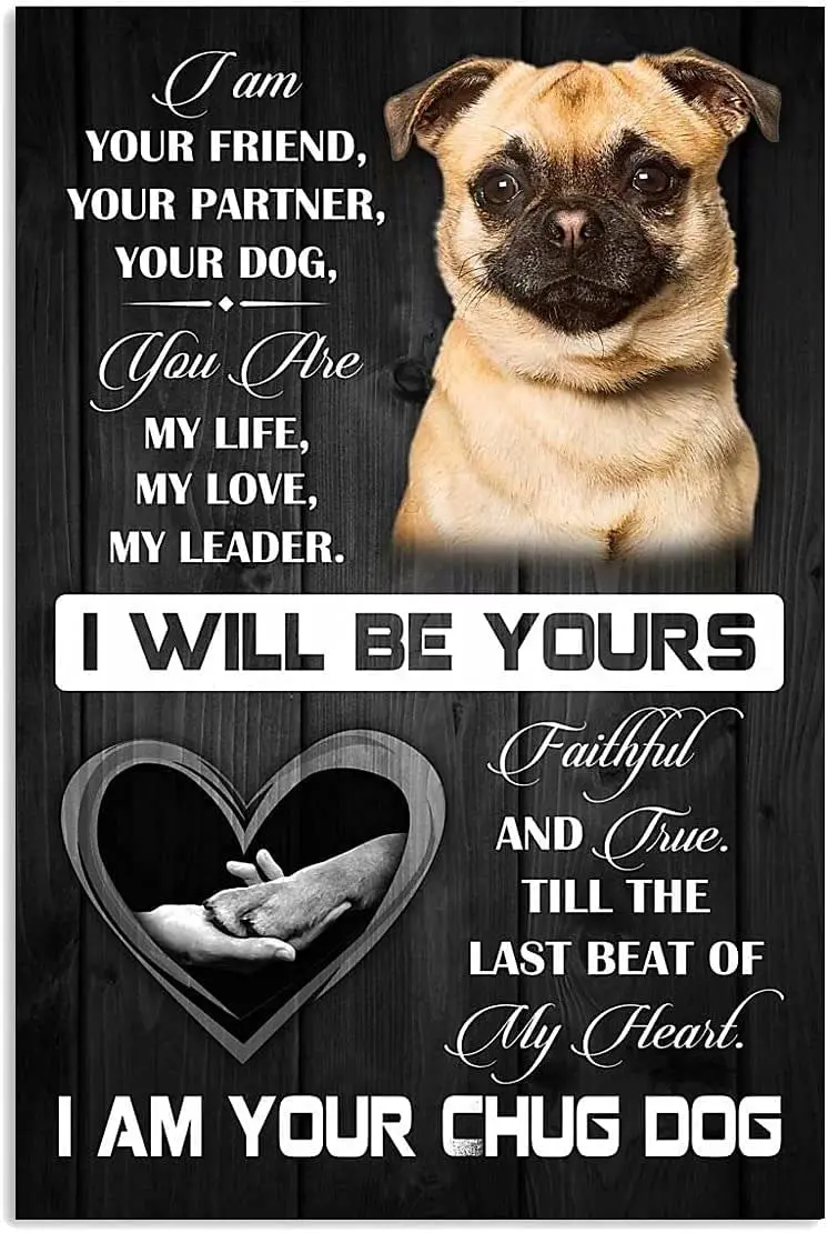 Dog Metal Poster I Am Your Friend I Am Your chug dog Tin Signs Cafe Living Room Bathroom Kitchen Home Art Wall Decor
Dog Metal Poster I Am Your Friend I Am Your chug dog Tin Signs Cafe Living Room Bathroom Kitchen Home Art Wall Decor