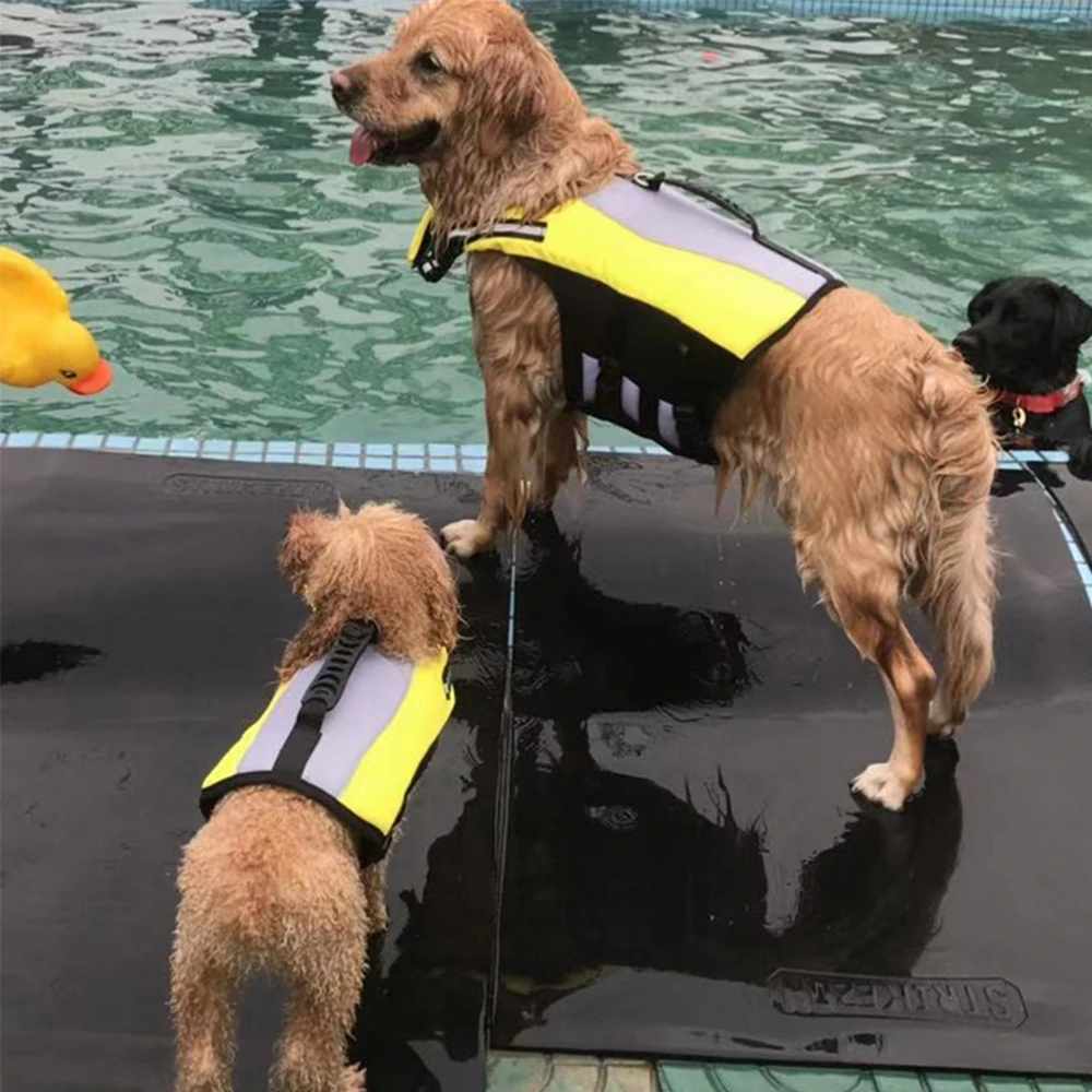 Dog Life Jacket Wins Dog Life Vest with Chin Float Rescue Handle for Small Medium Large Dog Adjustable High Visibility Flotation
Dog Life Jacket Wins Dog Life Vest with Chin Float Rescue Handle for Small Medium Large Dog Adjustable High Visibility Flotation