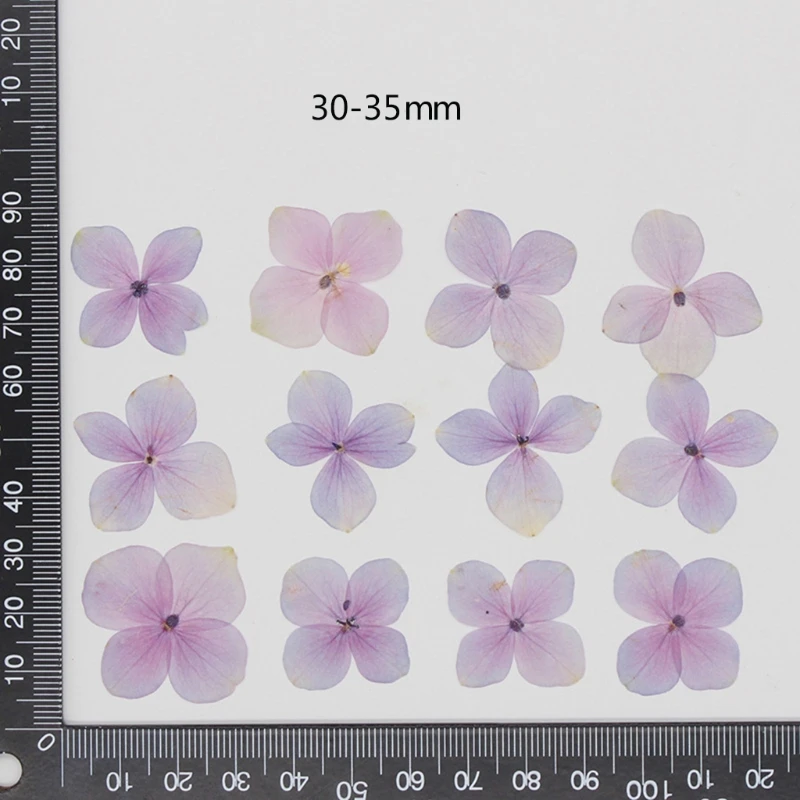 60 Pcs/Set Natural Pink Purple Hydrangea DIY Dried Flowers UV Expoxy Resin Mold Filling Flower Nail Art Pressed Flower
60 Pcs/Set Natural Pink Purple Hydrangea DIY Dried Flowers UV Expoxy Resin Mold Filling Flower Nail Art Pressed Flower