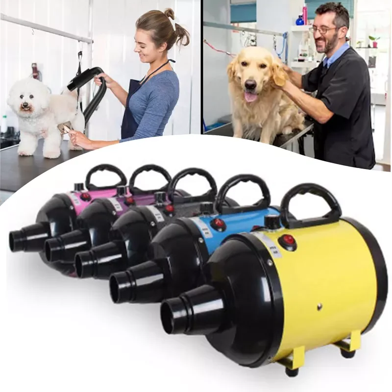 Mini Dog Grooming Dryer Pet Hair Dryer 2600W Power Hair Dryer Blower Warm Wind For Small Medium Large Dog Dryer Fast Blow-dryer
Mini Dog Grooming Dryer Pet Hair Dryer 2600W Power Hair Dryer Blower Warm Wind For Small Medium Large Dog Dryer Fast Blow-dryer
