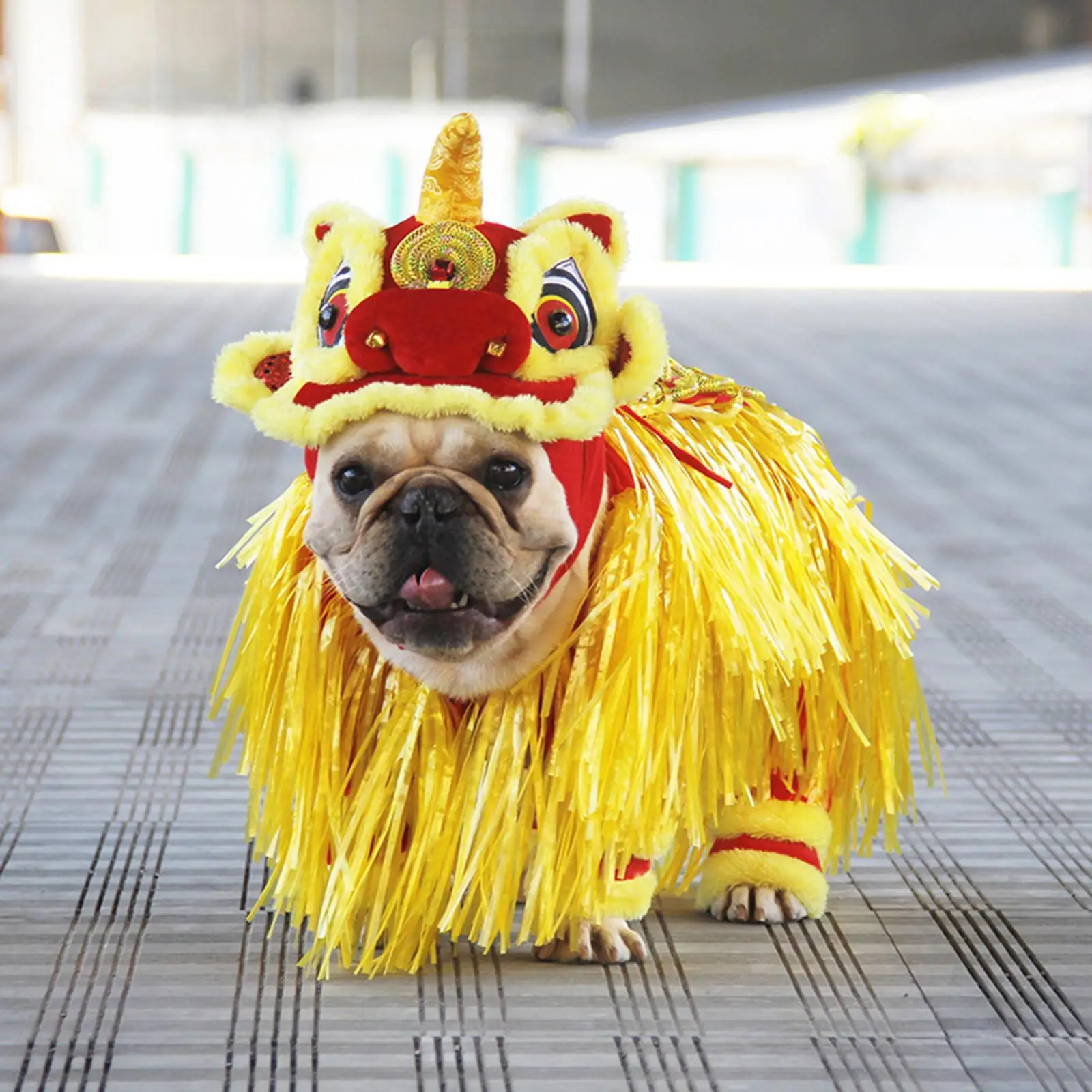 Funny Cute Pet Cat Costume Lion Costume For Cat Dog Halloween Christmas Clothes Fancy Dress Party Pet Clothes Cosplay New Year
Funny Cute Pet Cat Costume Lion Costume For Cat Dog Halloween Christmas Clothes Fancy Dress Party Pet Clothes Cosplay New Year