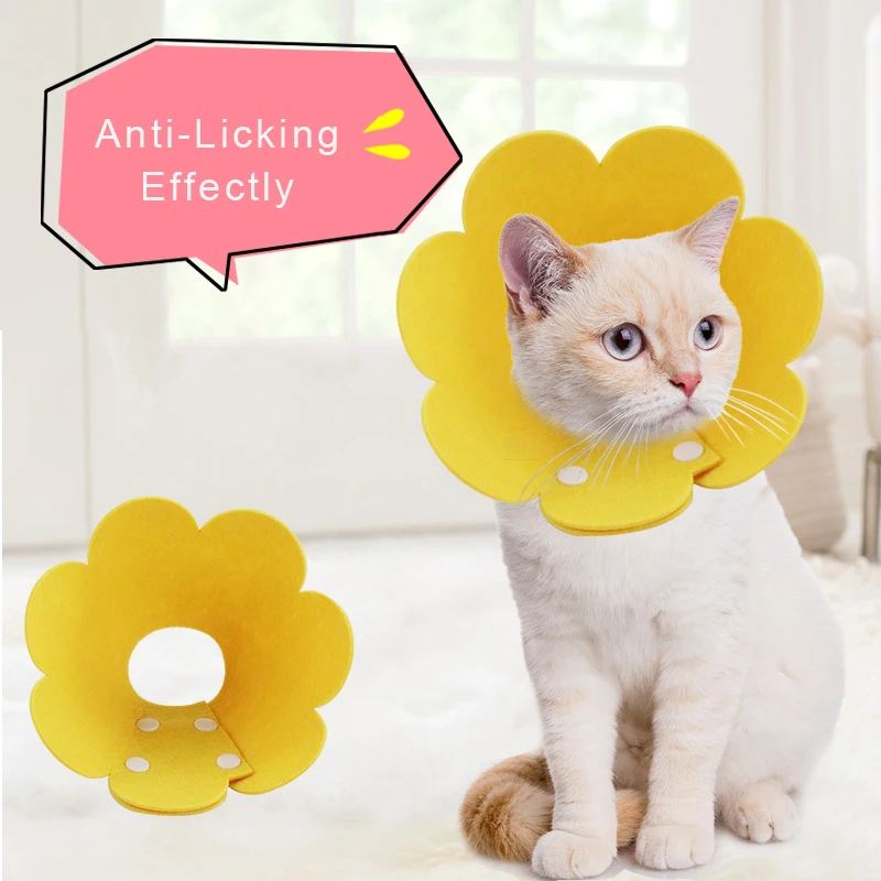 Sun Flower Felt Cat Collar Elizabeth Circle Cat Collar Felt Pet Products Anti-Licking Cat Collar Chihuahua Dog Collar 3 Size
Sun Flower Felt Cat Collar Elizabeth Circle Cat Collar Felt Pet Products Anti-Licking Cat Collar Chihuahua Dog Collar 3 Size