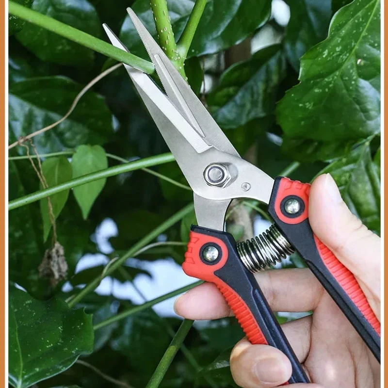 Садовые ножницы из нержавеющей стали
Садовые ножницы из нержавеющей стали