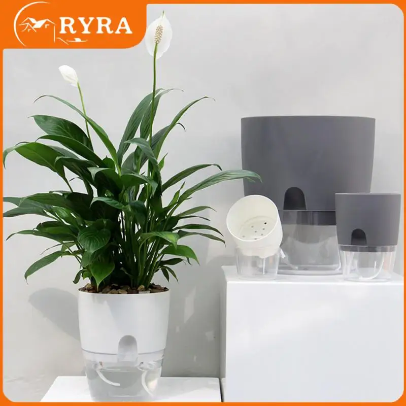 Cotton Rope Self Watering With Injection Port Indoor Golden Transparent For Indoor Plants Flower Pot Cotton Rope Self Watering
Cotton Rope Self Watering With Injection Port Indoor Golden Transparent For Indoor Plants Flower Pot Cotton Rope Self Watering