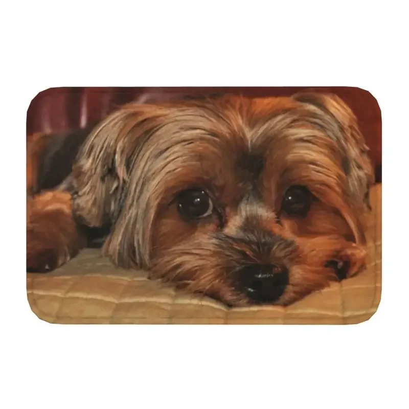 Yorkshire Terrier Yorkie Dog Front Door Mat Anti-Slip Quick Dry Indoor Doormat Kitchen Balcony Rug Living Room Entrance Carpet
Yorkshire Terrier Yorkie Dog Front Door Mat Anti-Slip Quick Dry Indoor Doormat Kitchen Balcony Rug Living Room Entrance Carpet
