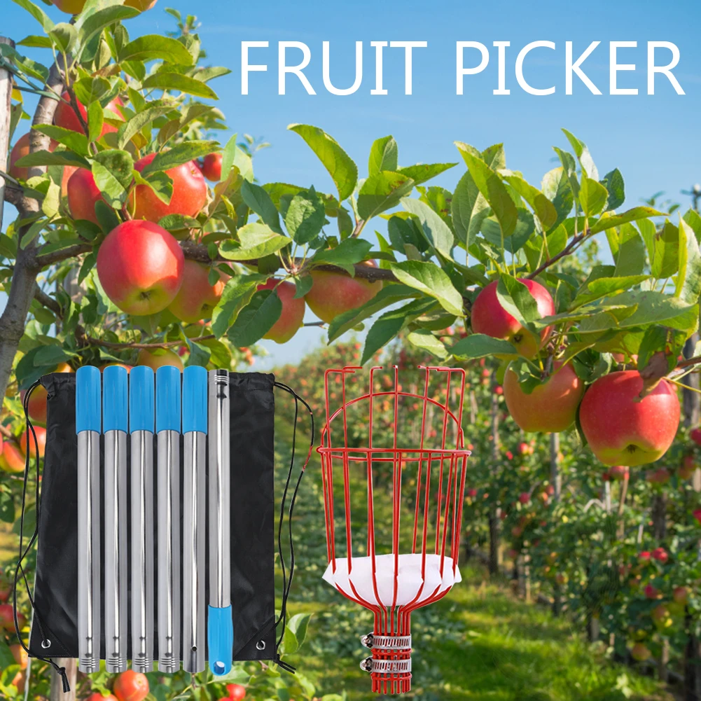 Harvesting Fruit Collector Catcher Stainless Steel Rod Fruit Collection Picking Catcher Labor-saving Garden Picking Device
Harvesting Fruit Collector Catcher Stainless Steel Rod Fruit Collection Picking Catcher Labor-saving Garden Picking Device