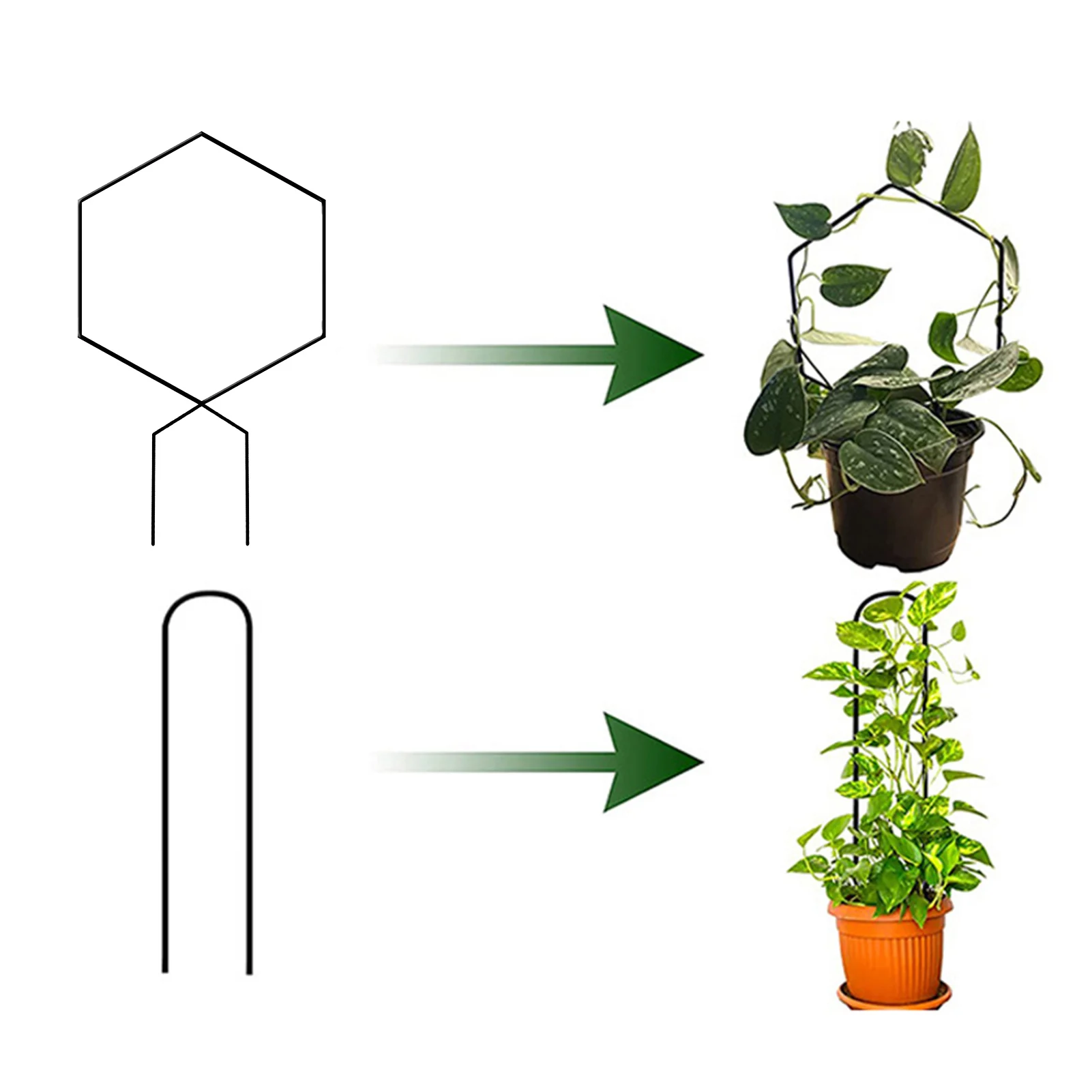 Plant Support Frame Garden Trellis Metal Garden Climbing Trellis Flower Plants Vegetables Rattan Stand Plant Holder Garden Tool
Plant Support Frame Garden Trellis Metal Garden Climbing Trellis Flower Plants Vegetables Rattan Stand Plant Holder Garden Tool