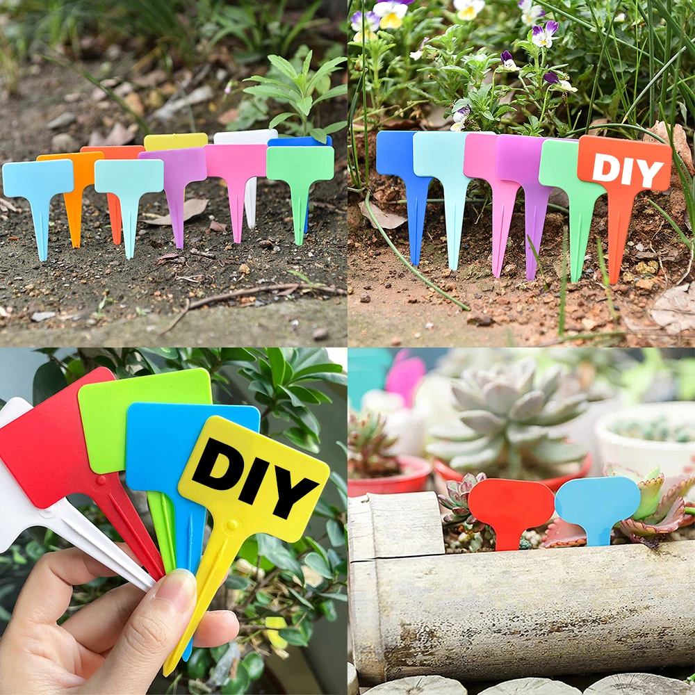 100pcs DIY Garden Labels Plant Classification Sorting Sign Tag Ticket Plastic Writing Plate Board Plug In Card Colorful
100pcs DIY Garden Labels Plant Classification Sorting Sign Tag Ticket Plastic Writing Plate Board Plug In Card Colorful