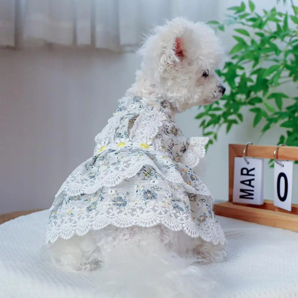 Lovely Pet Dog Cat Floral Princess Dress Pet Lace Dress Fine Workmanship Decorative
Lovely Pet Dog Cat Floral Princess Dress Pet Lace Dress Fine Workmanship Decorative