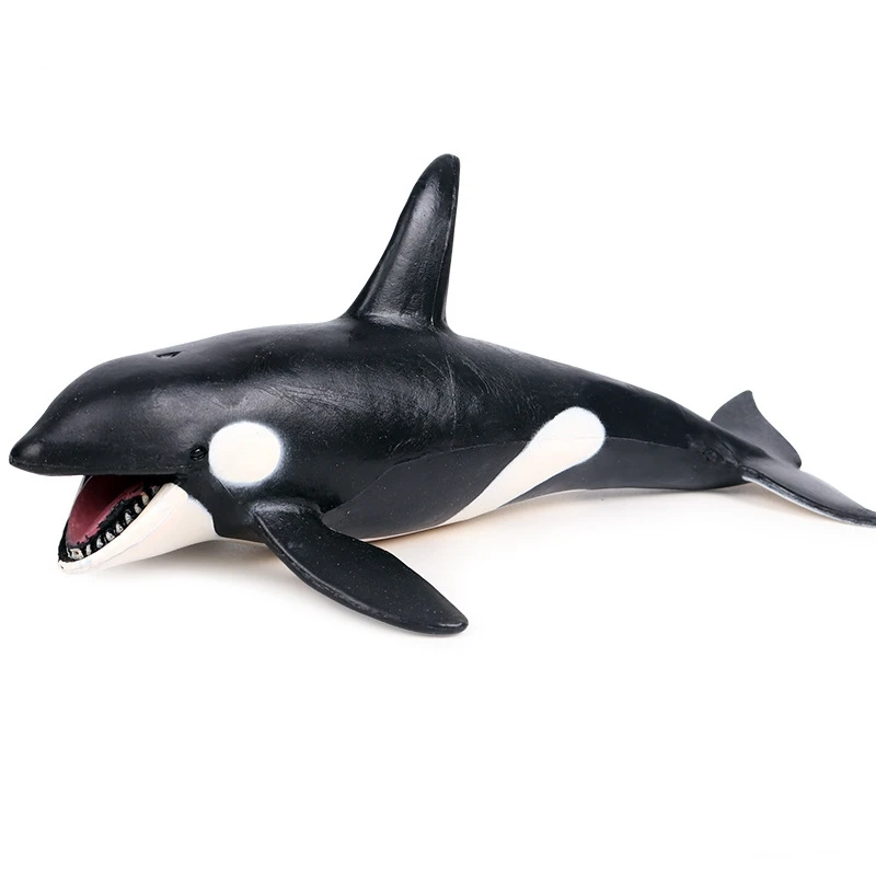 Sea Life Animals Killer Whale Model Action Figures Pvc Figurines Simulation Models Toys
Sea Life Animals Killer Whale Model Action Figures Pvc Figurines Simulation Models Toys