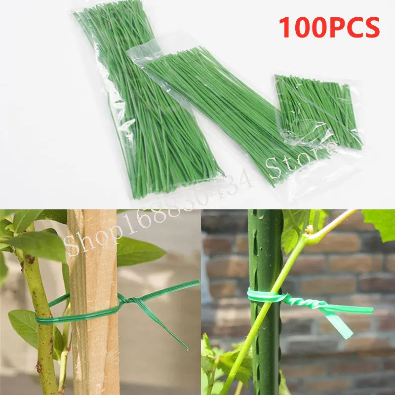 100pcs Gardening Plants Ties Power Wire Cable Ties Flowers Plant Brackets Parts Bonsai Flower Cucumber Grape Rattan Supports
100pcs Gardening Plants Ties Power Wire Cable Ties Flowers Plant Brackets Parts Bonsai Flower Cucumber Grape Rattan Supports