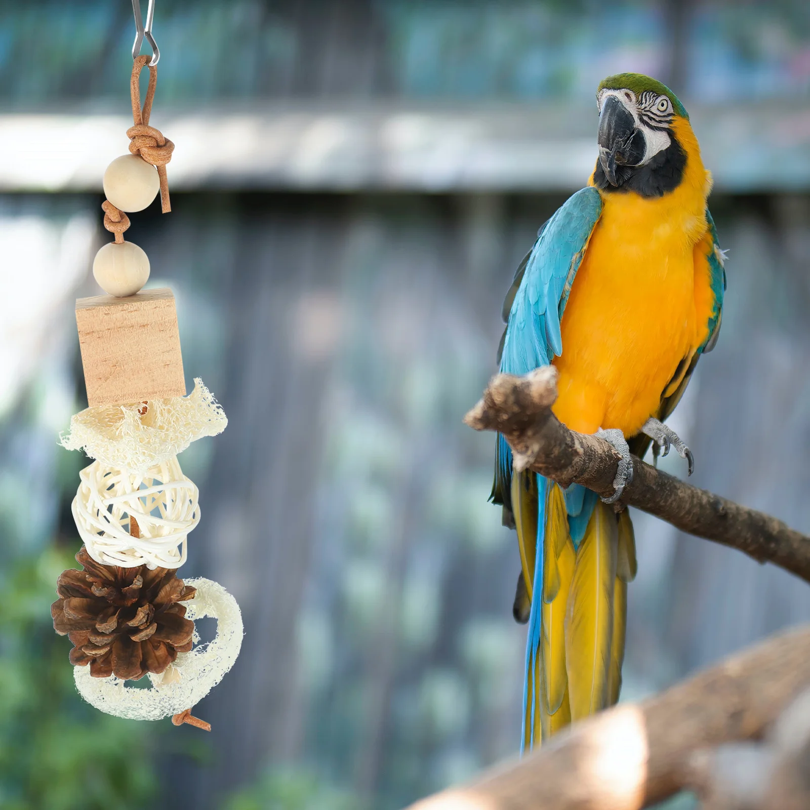 Bird Supplies Foraging Hanging Toy Parrot Chew Cage Chewing Wooden Toys Shredding
Bird Supplies Foraging Hanging Toy Parrot Chew Cage Chewing Wooden Toys Shredding