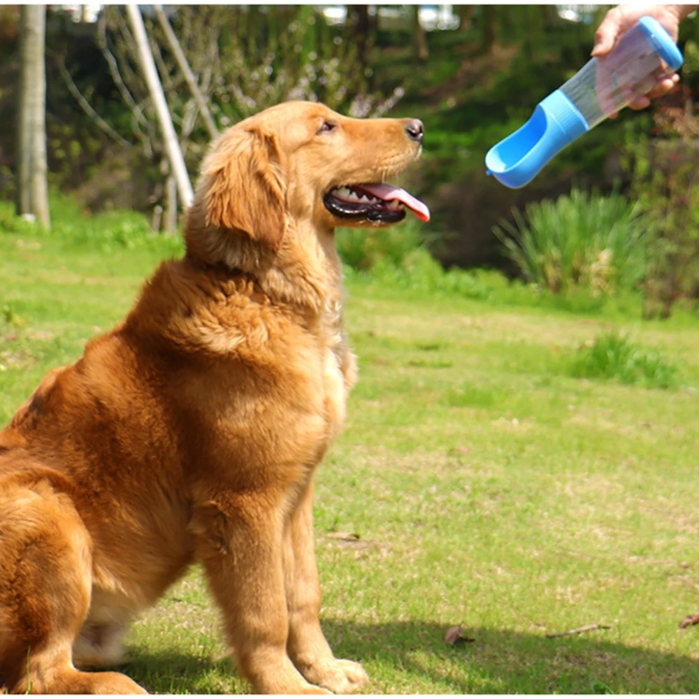 Portable Dog Water Bottle For Small Large Dogs Outdoor Walking Puppy Pet Travel Water Bottle Pet Drinking Bowl Dog Supplies
Portable Dog Water Bottle For Small Large Dogs Outdoor Walking Puppy Pet Travel Water Bottle Pet Drinking Bowl Dog Supplies