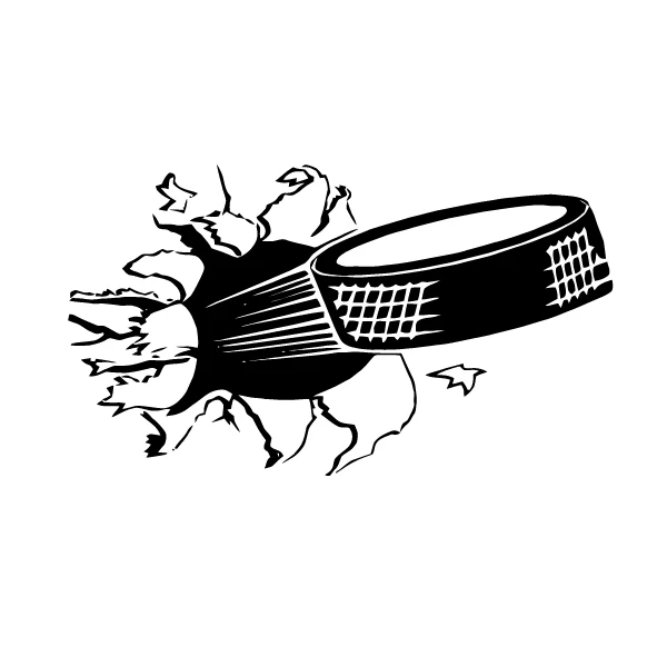 Виниловая наклейка на стену aooins Хоккей 
Виниловая наклейка на стену aooins Хоккей