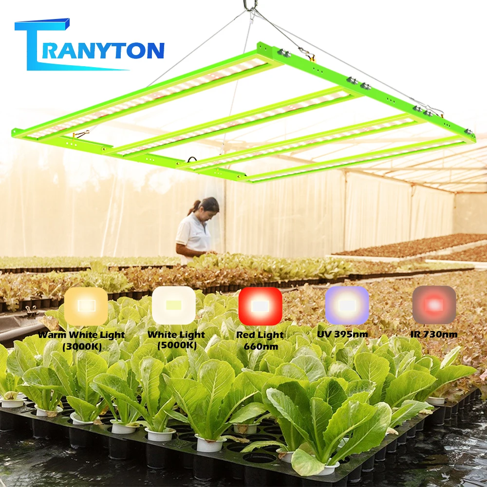 Samsung LM281B+ Grow Light Full Spectrum Sunlike Quantum Lamp AC85-265V Super Bright for Greenhouse Veg and Bloom with Switch
Samsung LM281B+ Grow Light Full Spectrum Sunlike Quantum Lamp AC85-265V Super Bright for Greenhouse Veg and Bloom with Switch
