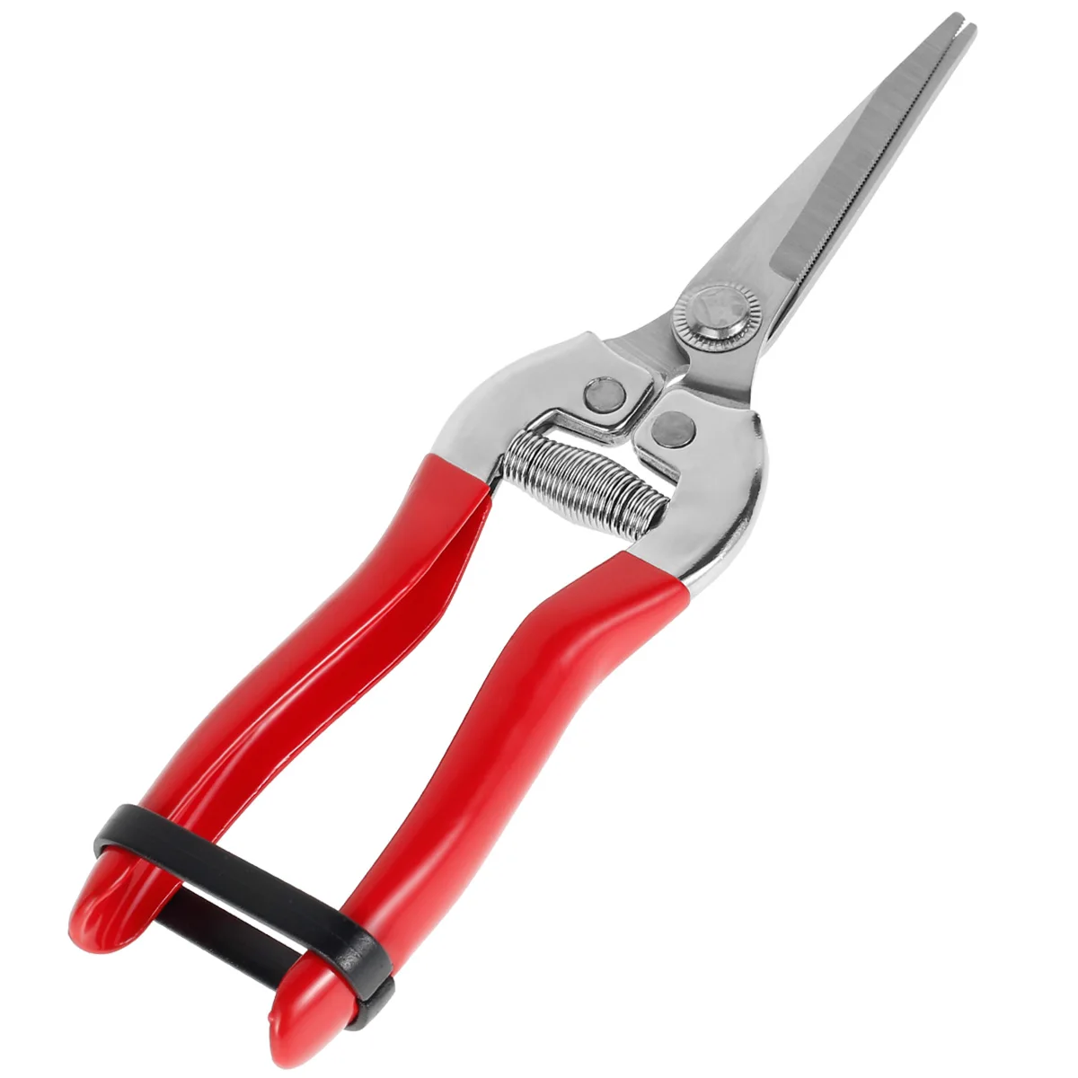 Gardening Hand Pruner Garden Scissors Pruning Shears Micro-Tip Pruning Snips Leaf Trimmer Straight Florist Scissor For Plants
Gardening Hand Pruner Garden Scissors Pruning Shears Micro-Tip Pruning Snips Leaf Trimmer Straight Florist Scissor For Plants