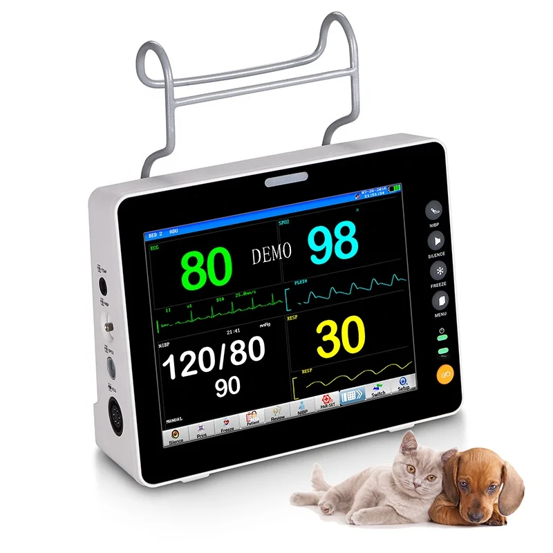 Vet Medical Anaesthesia Temp Monitoring Portable Animal Full Parameter Veterinary Multiparameter
Vet Medical Anaesthesia Temp Monitoring Portable Animal Full Parameter Veterinary Multiparameter