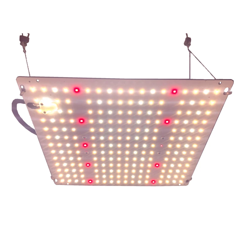 2022 best commercial led grow light dimmable lights full spectrum uv ir indoor hydroponic lm301b led grow light
2022 best commercial led grow light dimmable lights full spectrum uv ir indoor hydroponic lm301b led grow light