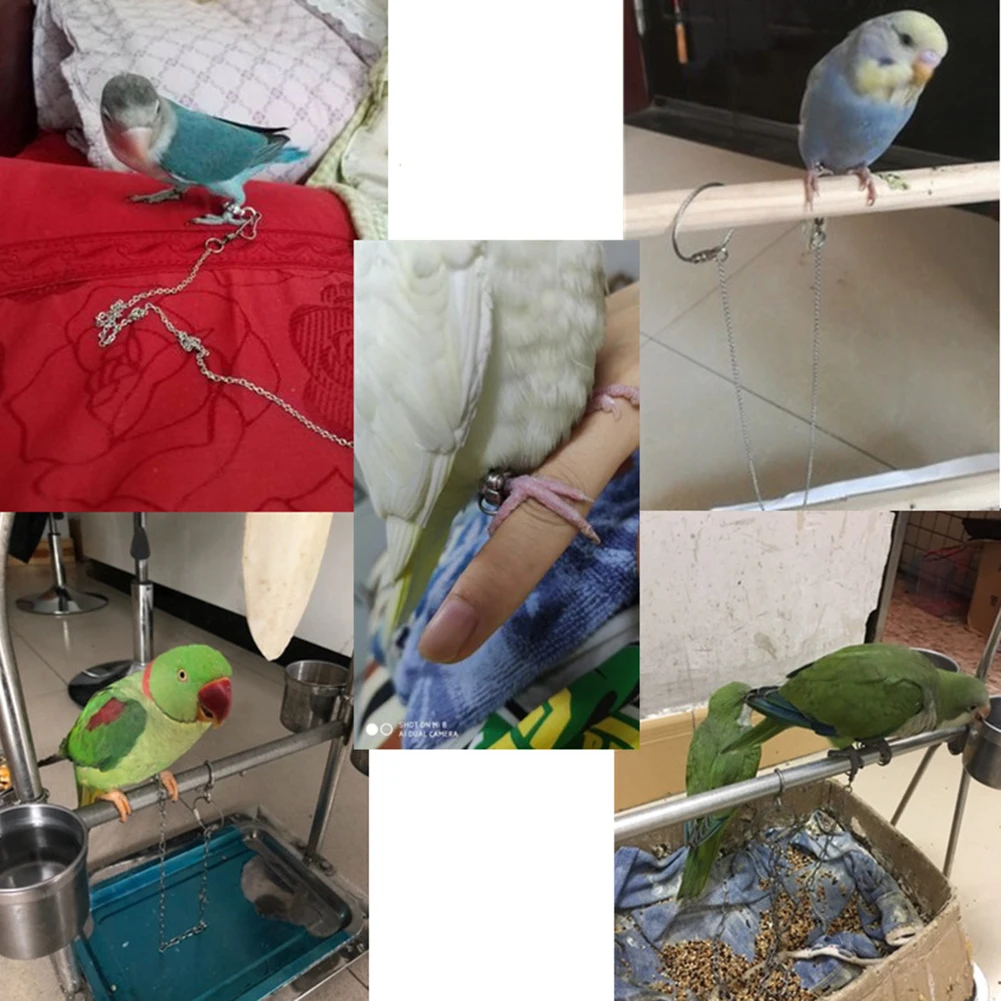 Bird Parrot Foot Chain Stainless Steel Ankle Foot Ring Stand Chain Outdoor Flying Training Bird Accessories SMLXL
Bird Parrot Foot Chain Stainless Steel Ankle Foot Ring Stand Chain Outdoor Flying Training Bird Accessories SMLXL