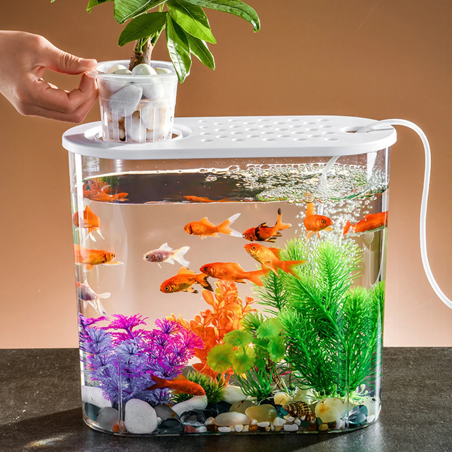 FishTank Hydroponics Desktop Plant Terrarium Desktop Clear Table Fish Bowl Desktop Aquarium Aquaponic Planter Tanks
FishTank Hydroponics Desktop Plant Terrarium Desktop Clear Table Fish Bowl Desktop Aquarium Aquaponic Planter Tanks