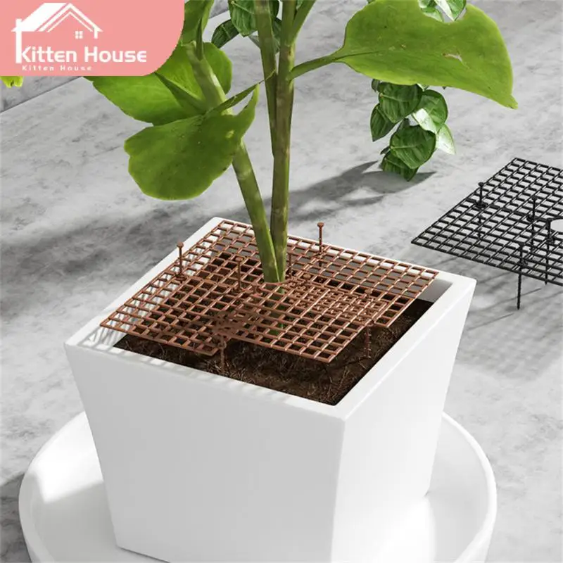 Durable Flower Pot Cover Useful Protection Mesh Covers Multi-use Soil Covers Protector Gardening Accesorries Flower Pot Grid
Durable Flower Pot Cover Useful Protection Mesh Covers Multi-use Soil Covers Protector Gardening Accesorries Flower Pot Grid
