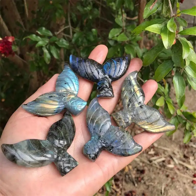 Natural Crystal Labradorite Fishtail Carving Polished Quartz Healing Stones Gemstones For Home Room Decoration 1pcs
Natural Crystal Labradorite Fishtail Carving Polished Quartz Healing Stones Gemstones For Home Room Decoration 1pcs