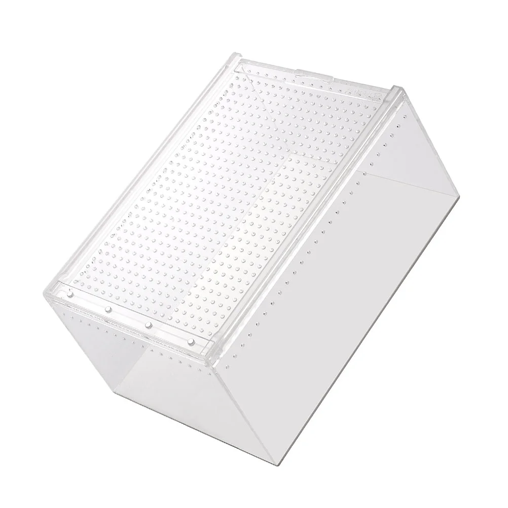 Reptile Box Breeding Acrylic Tank Snake Cage Feeding Aquarium Transparent House Cages Case Enclosure Household Keeper Cricket
Reptile Box Breeding Acrylic Tank Snake Cage Feeding Aquarium Transparent House Cages Case Enclosure Household Keeper Cricket