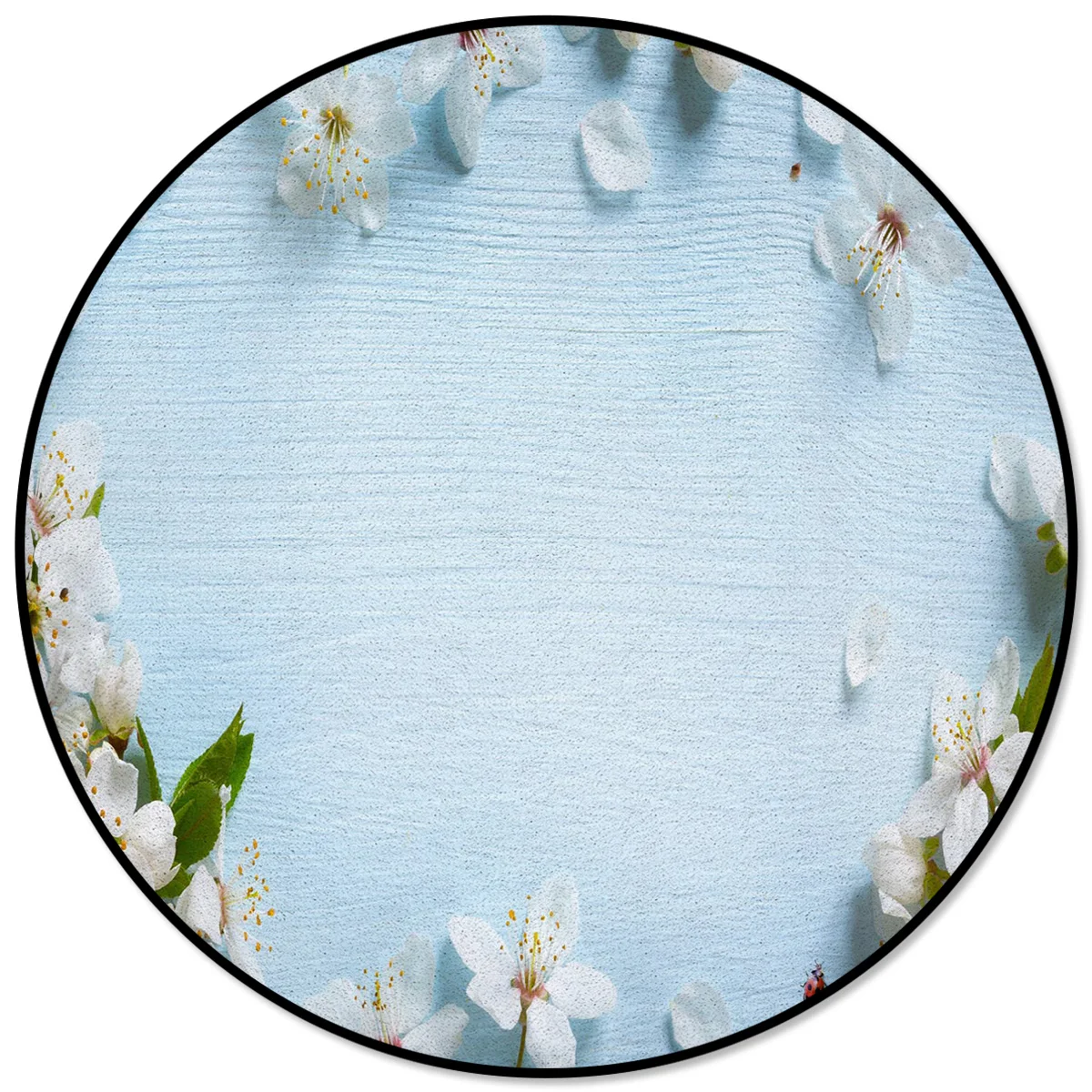 Spring Theme Flower Ladybug Plant Carpets For Living Room Carpets For Bed Room Large Bedroom Decor Circle Rug Area Rug Large
Spring Theme Flower Ladybug Plant Carpets For Living Room Carpets For Bed Room Large Bedroom Decor Circle Rug Area Rug Large