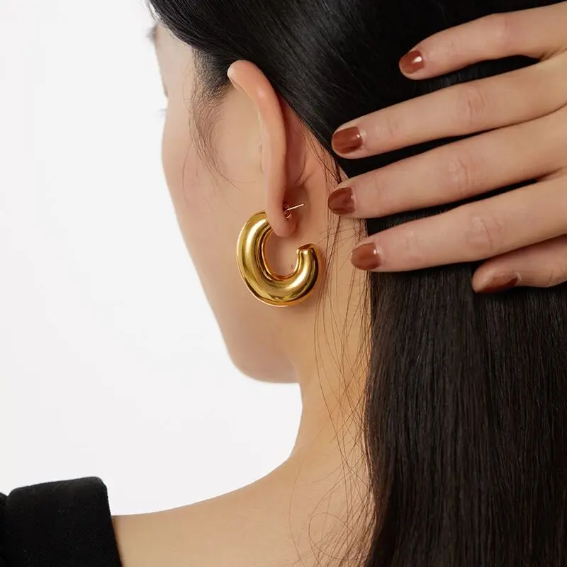 

Titanium Shiny Geo Hoop Earrings Women Jewelry Punk Hiphop Designer Runway Rare Simply Gown Boho Top Japan Korean
