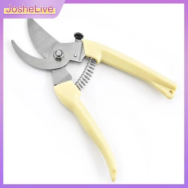Multi-functional Design Orchard Scissors 17x.24.x8cm Garden Pruning Shears Easy To Use Light Professional Garden Trimmer Durable
Multi-functional Design Orchard Scissors 17x.24.x8cm Garden Pruning Shears Easy To Use Light Professional Garden Trimmer Durable