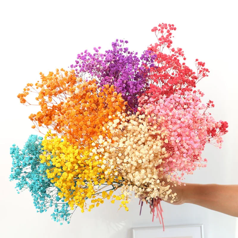 Colorful Natural Fresh Dried Preserved Flowers Natural Real Flower Babysbreath Small Natural Dried Flowers Bouquet Wedding Decor
Colorful Natural Fresh Dried Preserved Flowers Natural Real Flower Babysbreath Small Natural Dried Flowers Bouquet Wedding Decor