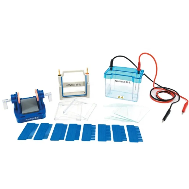 SDS page protein gel Electrophoresis Cell for school ,laboratory, medical research
SDS page protein gel Electrophoresis Cell for school ,laboratory, medical research