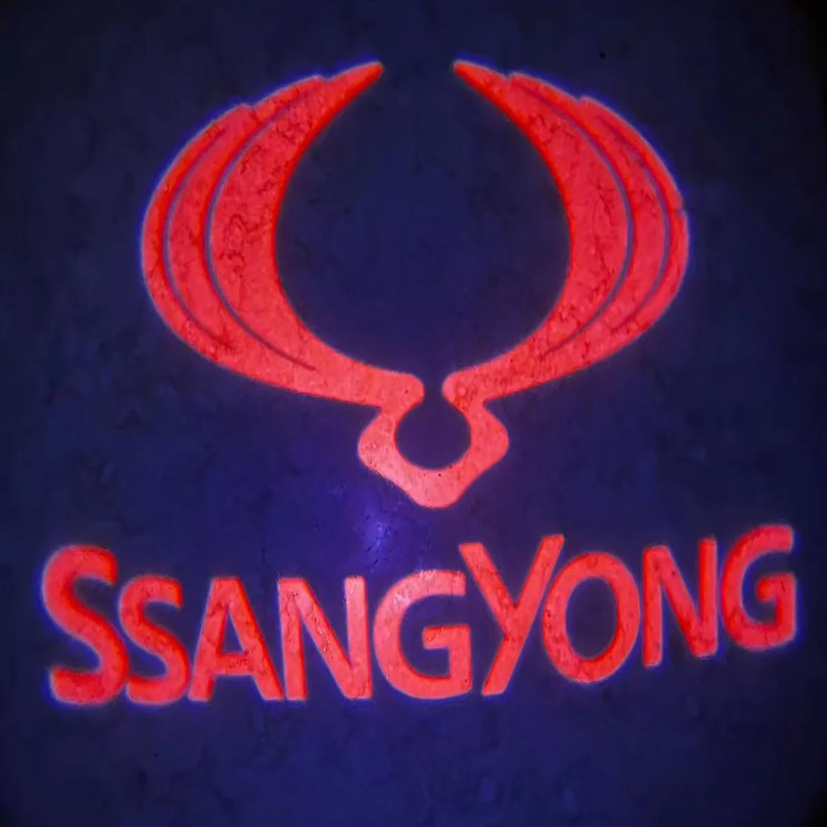2x For Ssangyong Actyon Turismo Rexton Kyron Korando Wireless LED Car Door Welcome Light Laser Projector Logo Ghost shadow LampS
2x For Ssangyong Actyon Turismo Rexton Kyron Korando Wireless LED Car Door Welcome Light Laser Projector Logo Ghost shadow LampS