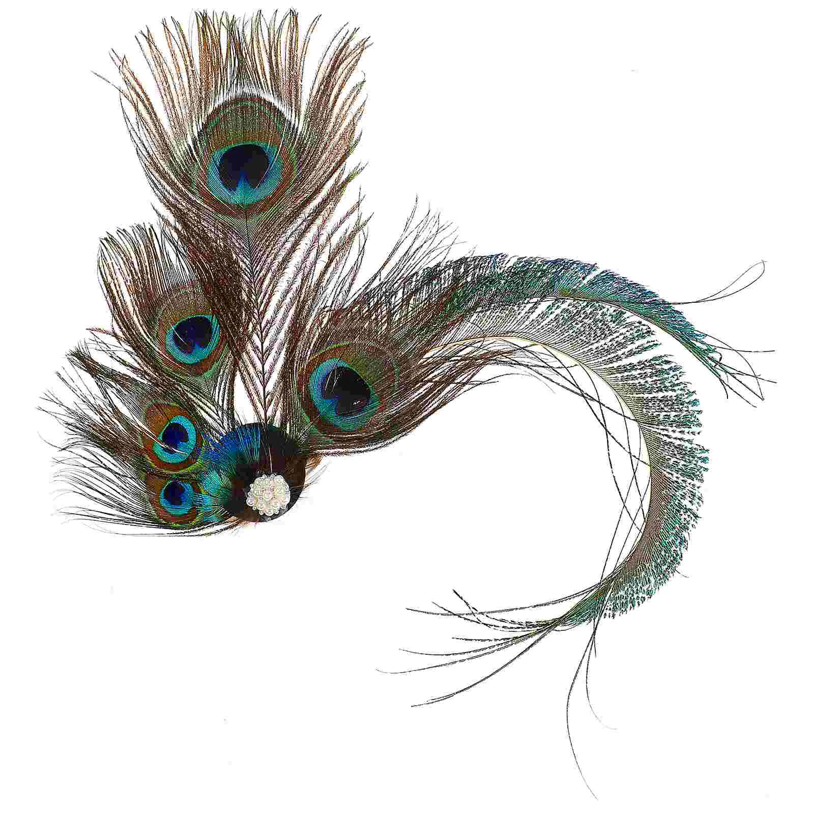 Peacock Barrette Hair Clip for Women Vintage Style Hair Bang Clip Hair Accessory for Wedding Party
Peacock Barrette Hair Clip for Women Vintage Style Hair Bang Clip Hair Accessory for Wedding Party
