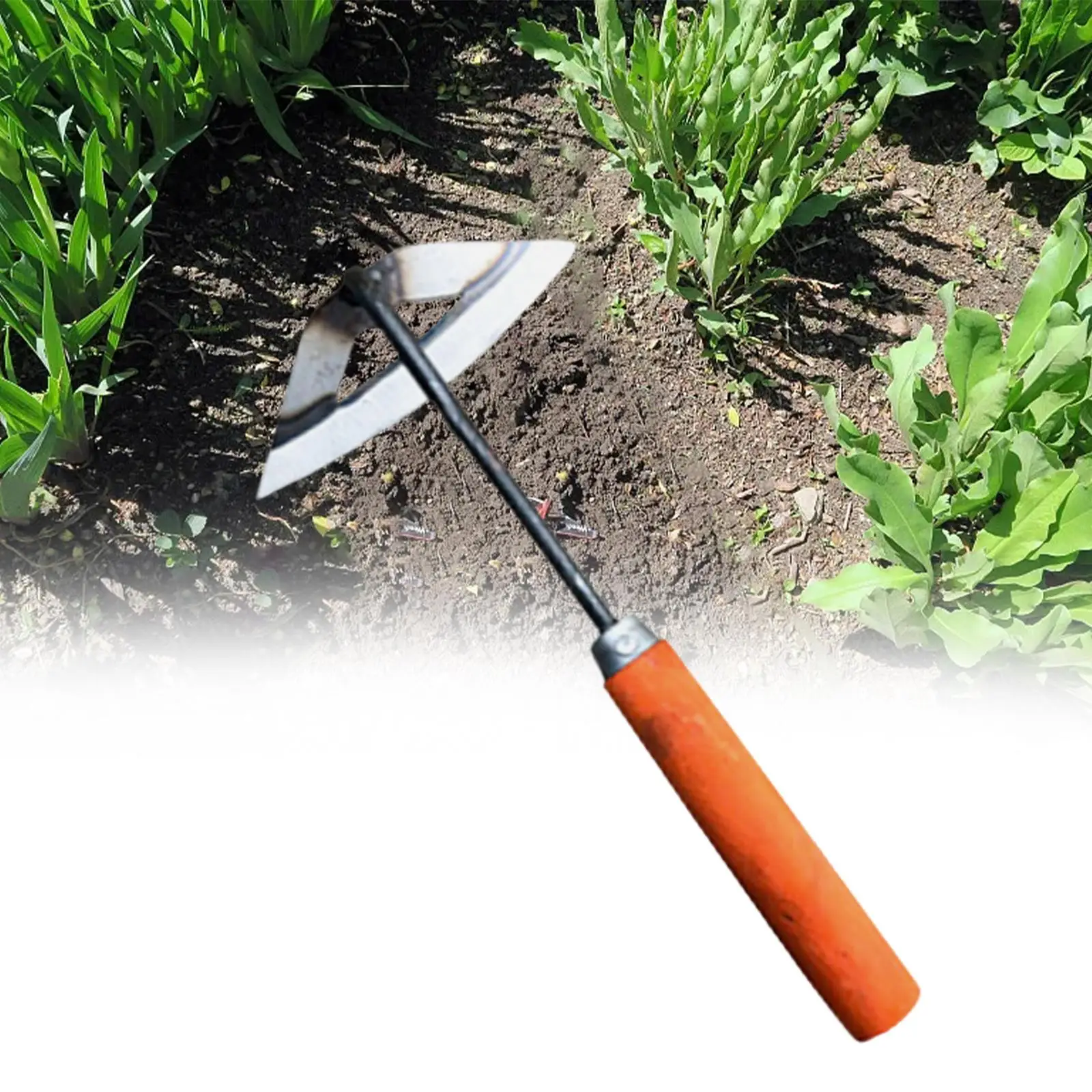 Garden Hoe Plant Remover Tool Weeder Removal Handle Hoe Steel Handheld Weeding Rake for Farm Planting Weeding Backyard Vegetable
Garden Hoe Plant Remover Tool Weeder Removal Handle Hoe Steel Handheld Weeding Rake for Farm Planting Weeding Backyard Vegetable