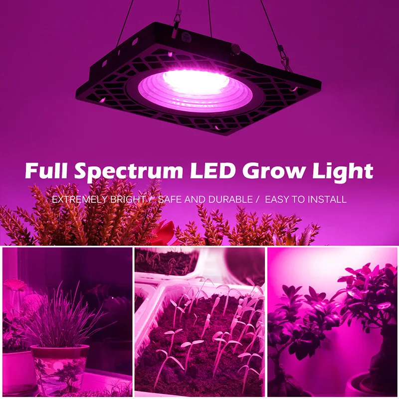 50W Honeycomb LED Grow Light Full Spectrum Phytolamp For Plant 220V 2835-72LEDs IP66 Waterproof Flower Cultivation Floodlights
50W Honeycomb LED Grow Light Full Spectrum Phytolamp For Plant 220V 2835-72LEDs IP66 Waterproof Flower Cultivation Floodlights