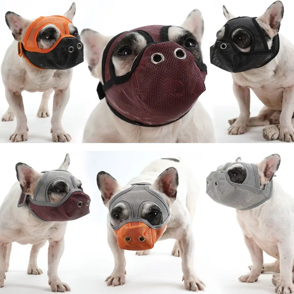 Breathable Short Snout Anti Barking Aggressive Dog Face Mesh Pet Dog Muzzle Biting Chewing French Bulldog
Breathable Short Snout Anti Barking Aggressive Dog Face Mesh Pet Dog Muzzle Biting Chewing French Bulldog