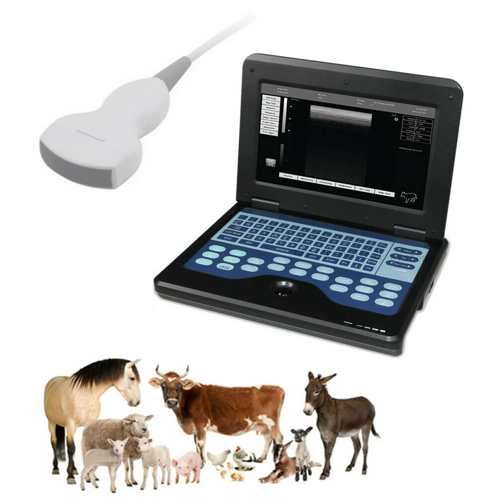 CMS6000P2-VET профессиональные медицинские ультразвуковые инструменты для ветеринарной ультразвуковой графии
CMS6000P2-VET профессиональные медицинские ультразвуковые инструменты для ветеринарной ультразвуковой графии