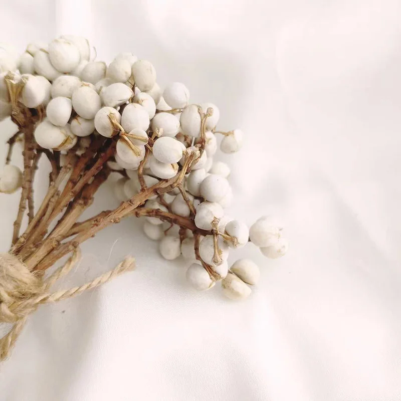 30g Small Ginkgo Natural White Weed For Home Wedding Party Decoration Wearable Garland
30g Small Ginkgo Natural White Weed For Home Wedding Party Decoration Wearable Garland