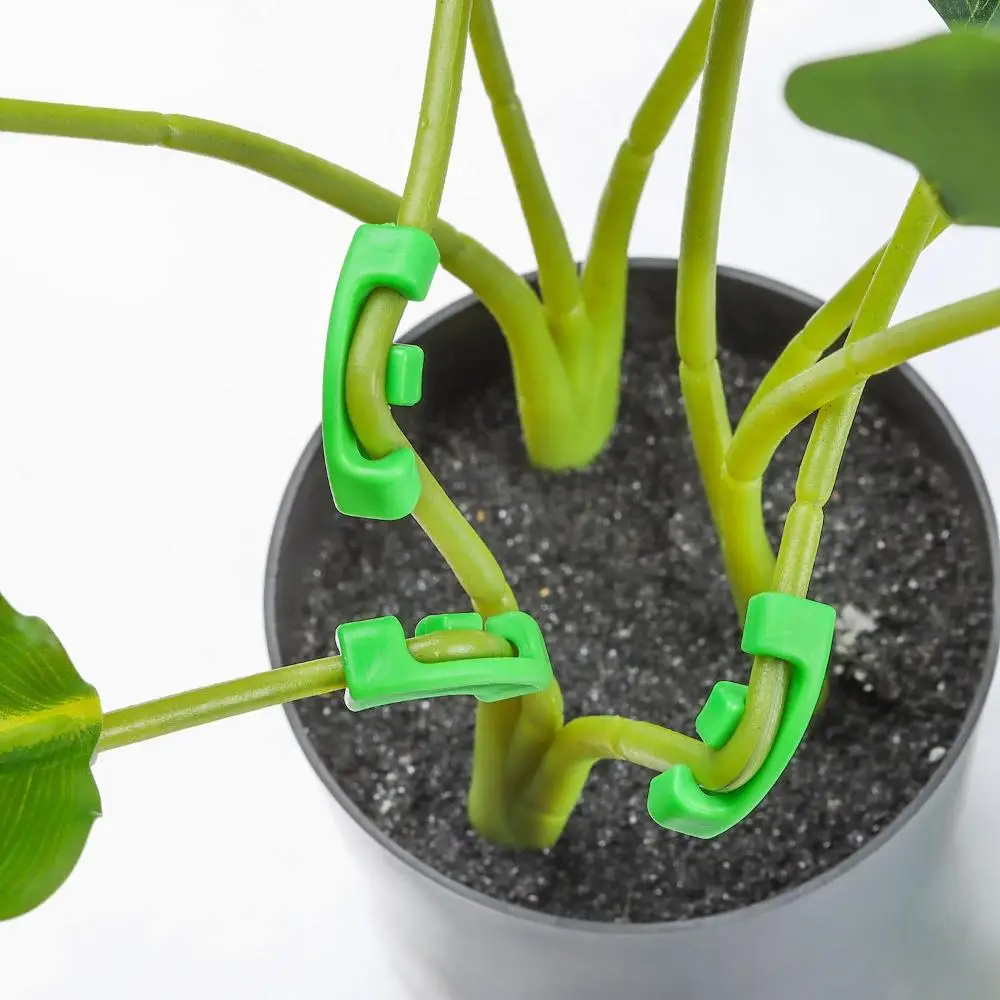 No Stake Trellis Growth Manipulation kit Twig Clamps 90 Degree Plant Benders Plant Trainer for Low Stress Training
No Stake Trellis Growth Manipulation kit Twig Clamps 90 Degree Plant Benders Plant Trainer for Low Stress Training