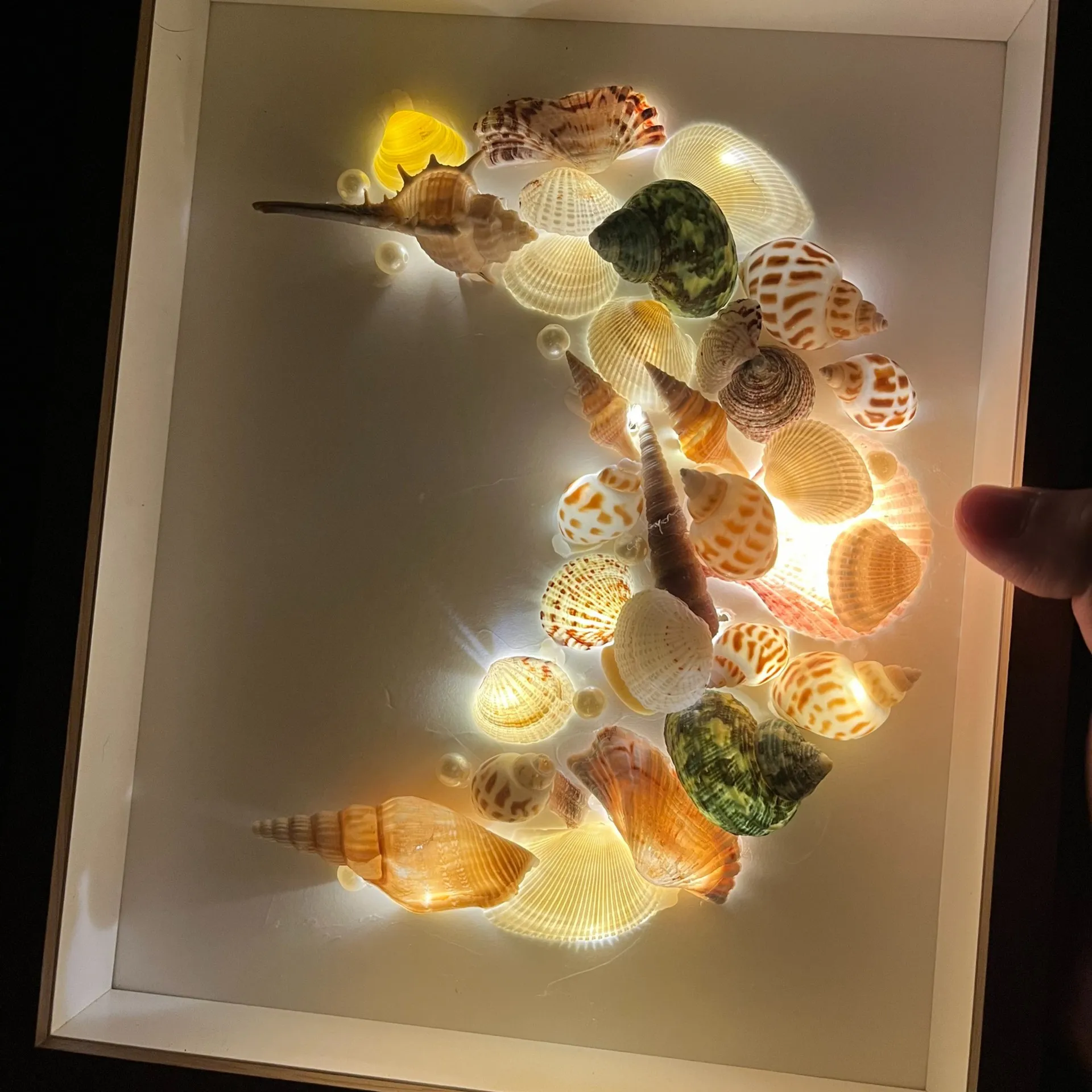 Moon Shaped Shell Painting, Sea Snail DIY Frame Material, Small Night Lamp Commemorative Specimen
Moon Shaped Shell Painting, Sea Snail DIY Frame Material, Small Night Lamp Commemorative Specimen